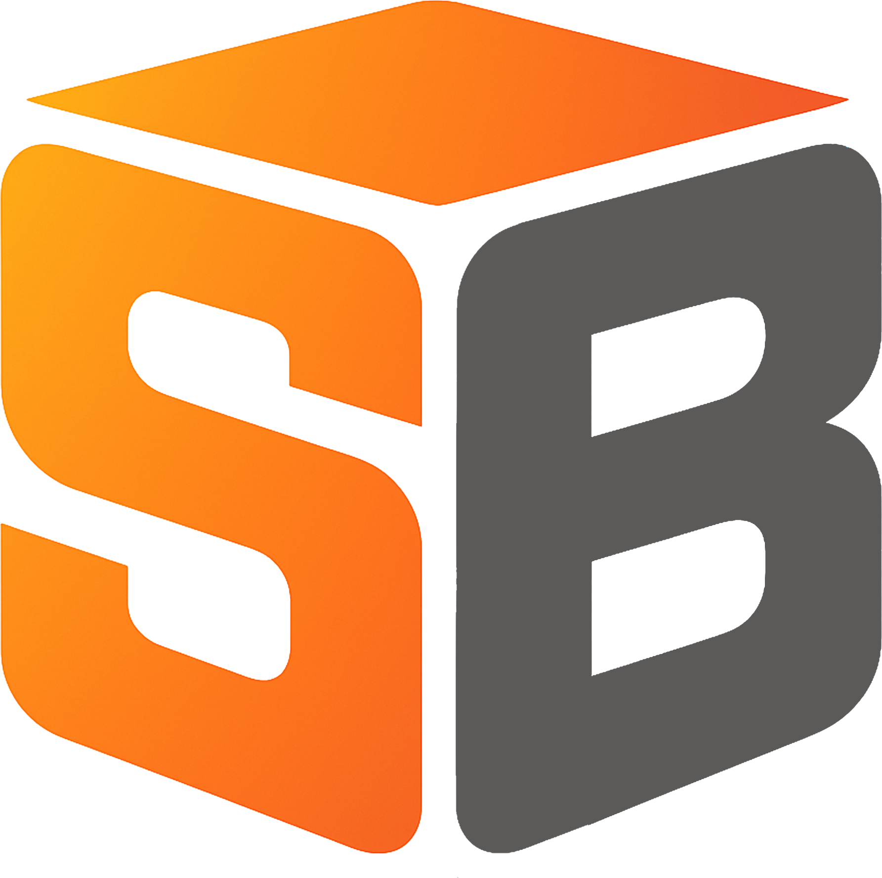 logo braa